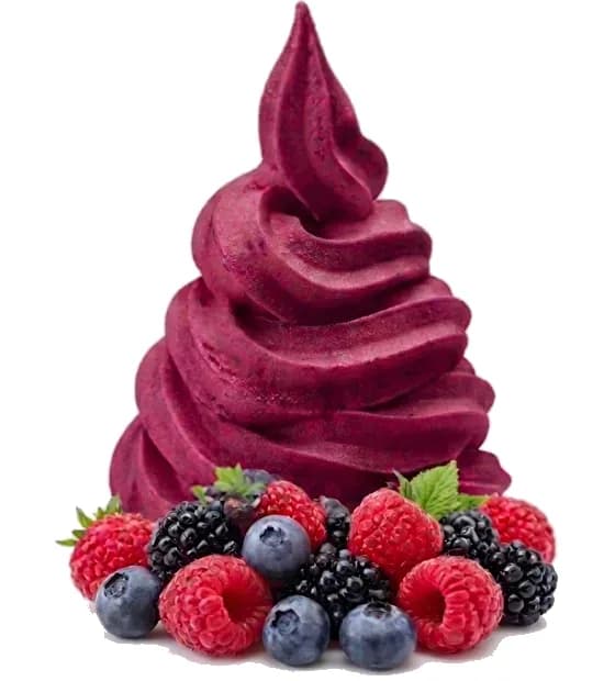 Forest Berry frozen yoghurt